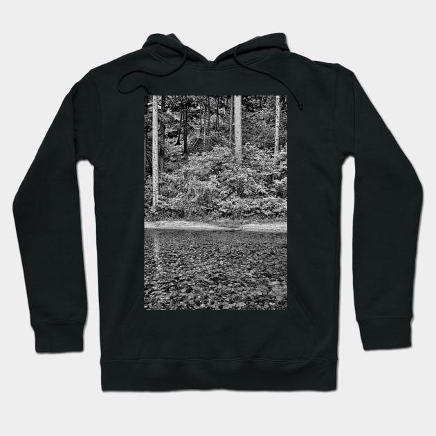 Big Thompson Canyon in Summer Hoodie by bobmeyers